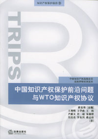 中国知识产权保护前沿问题与WTO知识产权协议/多维知识产权文库