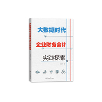 大数据时代企业财务会计实践探索