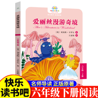 爱丽丝漫游奇境六年级下 小学生语文课外阅读书人教版快乐读书吧课外书小学生课外阅读书6年级下册快读书吧世界经典儿童文学课外书国外经典童话名著故事睡前故事少儿童话故事