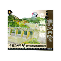 中国美术…色调训练之色彩风景练习(VCD)