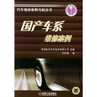国产车系维修案例（——汽车维修案例分析丛书）