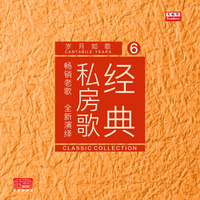 经典私房歌-岁月如歌(KTV冠军歌曲演唱版LP黑胶唱片）