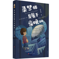 录梦师是属于夜晚的