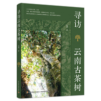 寻访云南古茶树