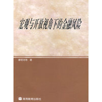 宏观与开放视角下的金融风险
