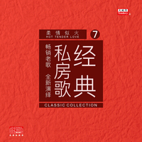 经典私房歌-柔情似火(KTV冠军歌曲演唱版LP黑胶唱片）