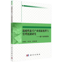 战略性新兴产业创新机理与管理机制研究——基于多维视角