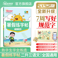 2025新版阳光同学暑假练字帖二升三复习预习卡字帖天天练2升3语文暑假练字