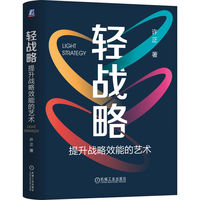 轻战略：提升战略效能的艺术     许正