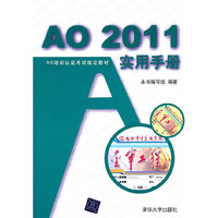 AO 2011实用手册