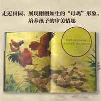 大家小绘系列：母鸡