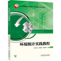 环境统计实践教程   陈文华 张继来 邓毅书   环境设计 环境监测