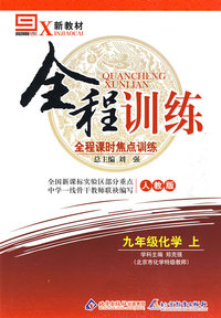九年级化学 上（人教版）/新教材全程训练 全程课时焦点训练