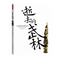 逝去的武林（民国武林宗师传奇）