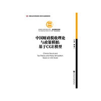 中国财政税收理论与政策模拟