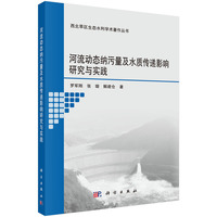 河流动态纳污量及水质传递影响研究与实践