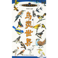 奇妙的鸟类世界