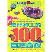 鬼斧神工的100自然奇观