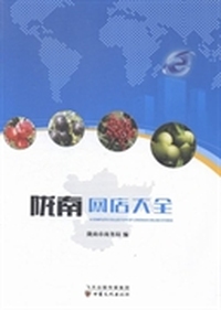 陇南网店大全