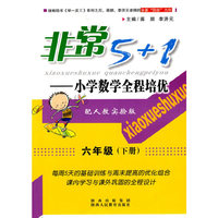 非常5+1——小学数学全程培优六年级（下）（人教版）