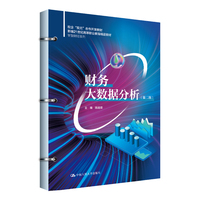 财务大数据分析（第二版）（新编21世纪高等职业教育精品教材·智慧财经系列；校企“双元”合作开发教材）