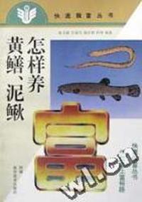 黄鳝泥鳅怎样养/快速致富丛书