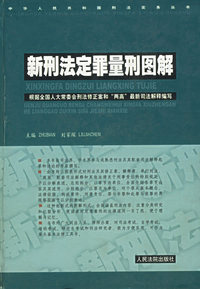 新刑法定罪量刑图解 (精)