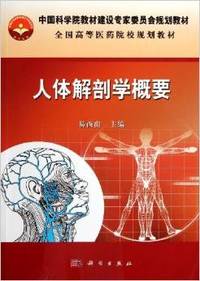 人体解剖学概要
