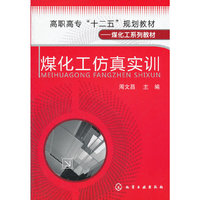 煤化工仿真实训(周文昌)