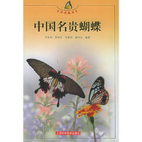 中国名贵蝴蝶——生活情趣丛书