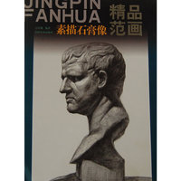 素描石膏像精品范画