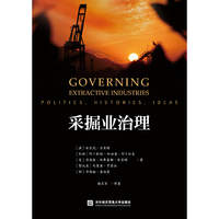 采掘业治理