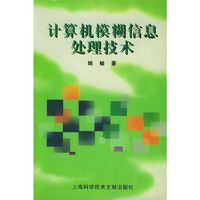 计算机模糊信息处理技术