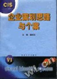 CIS企业策划思路与个案
