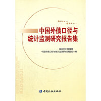 中国外债口径与统计监测研究报告集