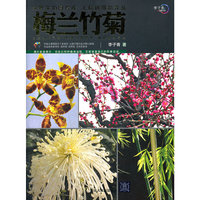 梅兰竹菊