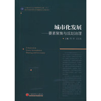 城市化发展——要素聚集与规划治理