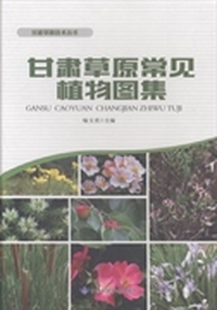 甘肃草原常见植物图集