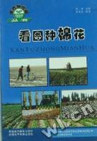 看图种棉花