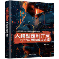 大模型定制开发--行业应用与解决方案