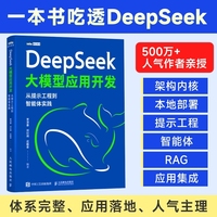 DeepSeek大模型应用开发：从提示工程到智能体实践
