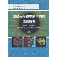 眼部光学相干断层扫描血管成像，第2版