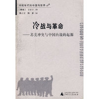 冷战丛书 冷战与革命