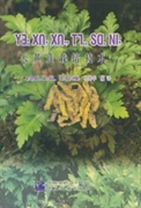 云黄连栽培技术手册：傈僳文