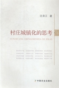 村庄城镇化的思考
