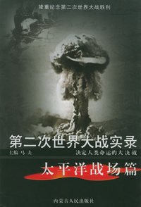 第二次世界大战实录（全套共15册）