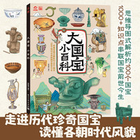 大国宝小百科+地图 用国宝串联起上下五千年中华文化百科常识 100个国宝知识点串联起前世今生