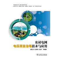 农村电网电压质量治理技术与应用