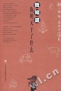 莫扎特小提琴协奏曲全集C
