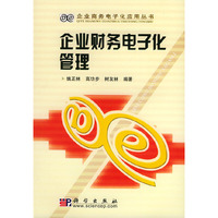 企业财务电子化管理——企业商务电子化应用丛书